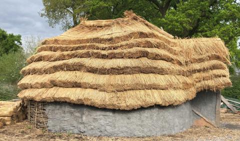 Iron Age roundhouse during construction